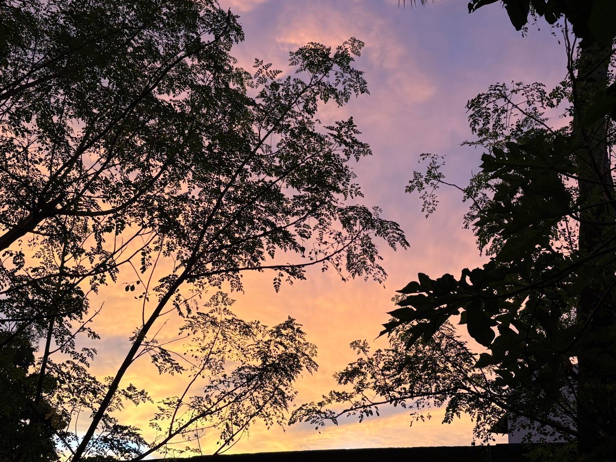Filter or Kottayam sunset? Because today’s sky seriously looks edited. 🌅✨